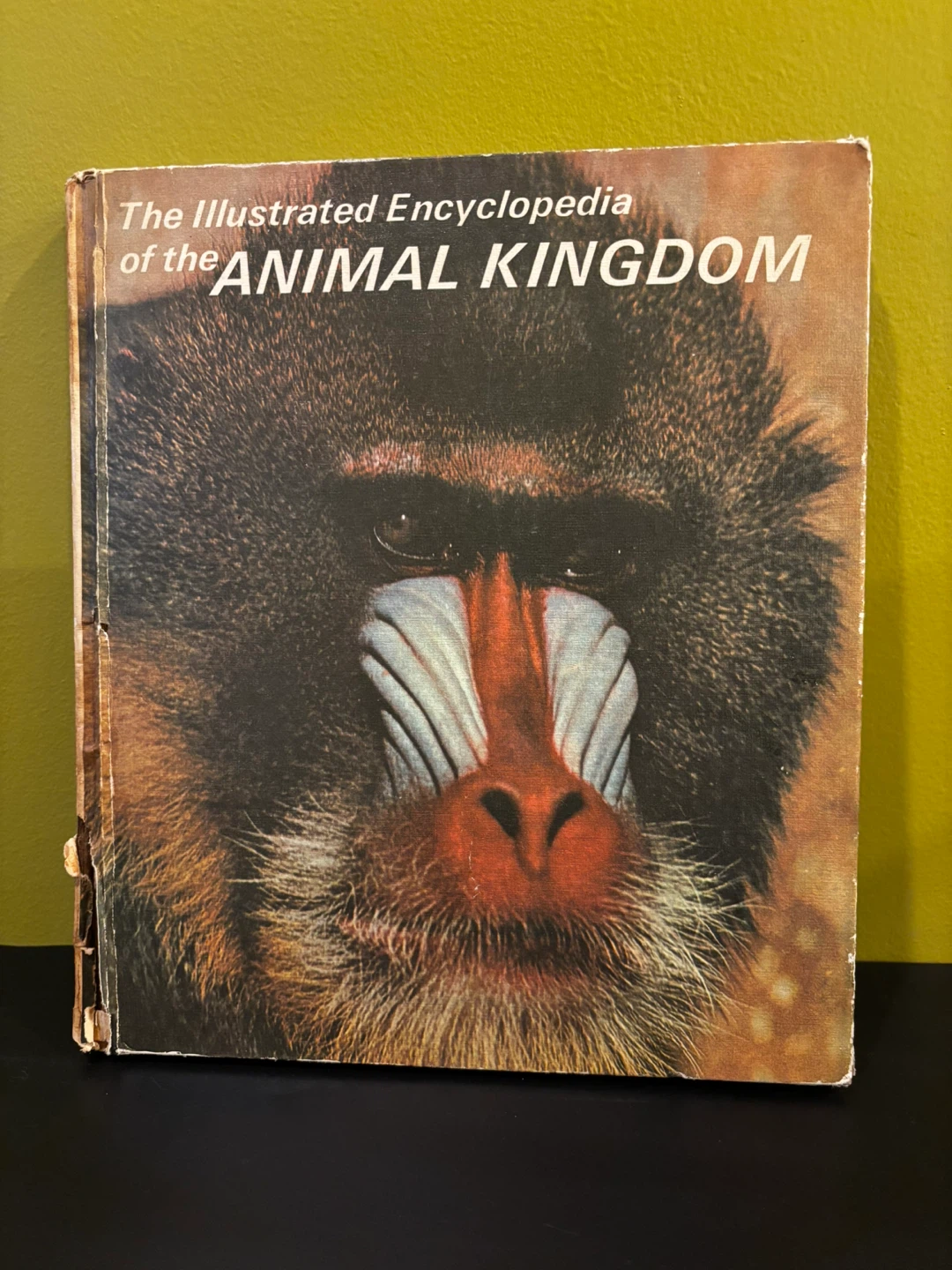 The Illustrated Encyclopedia of the Animal Kingdom Book Vol 1