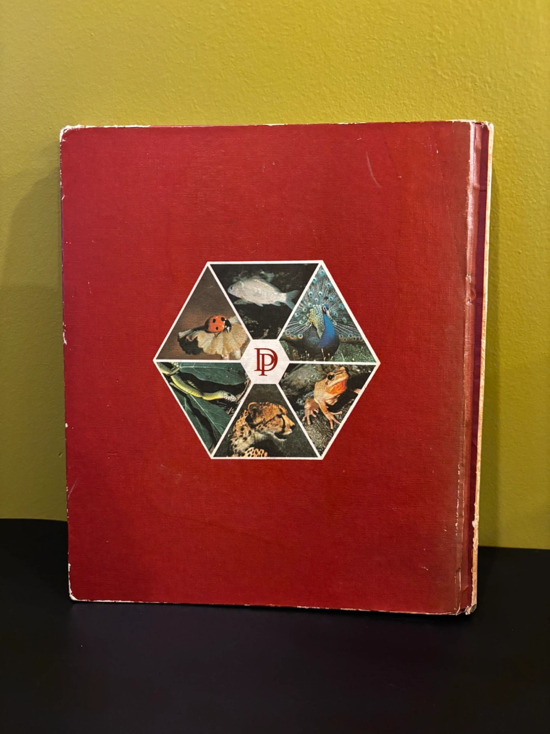 The Illustrated Encyclopedia of the Animal Kingdom Book Vol 1 - photo 3