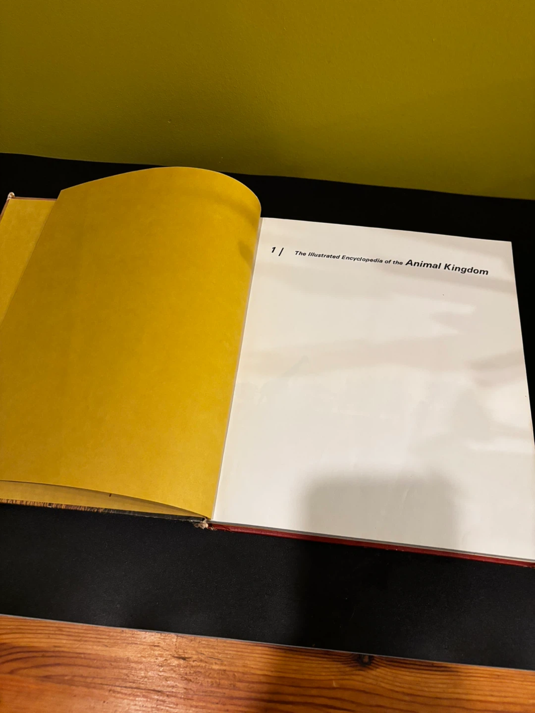 The Illustrated Encyclopedia of the Animal Kingdom Book Vol 1 - photo 4