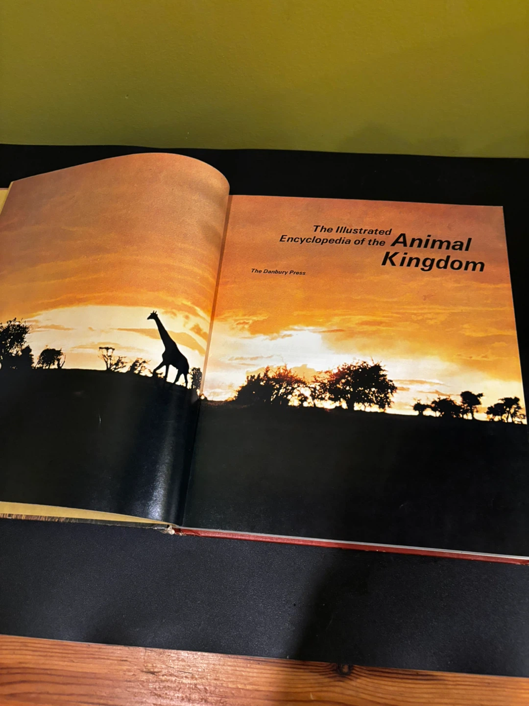 The Illustrated Encyclopedia of the Animal Kingdom Book Vol 1 - photo 5