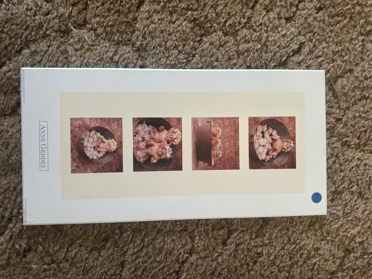 Anne Geddes Framed Prints and Photos - photo 2