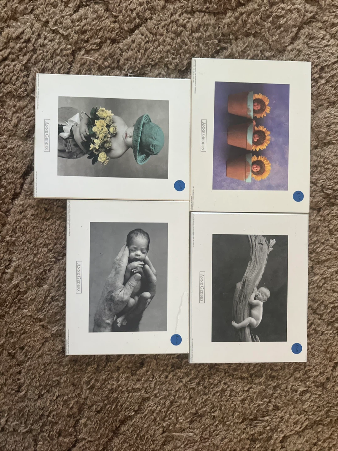 Anne Geddes Framed Prints and Photos - photo 5