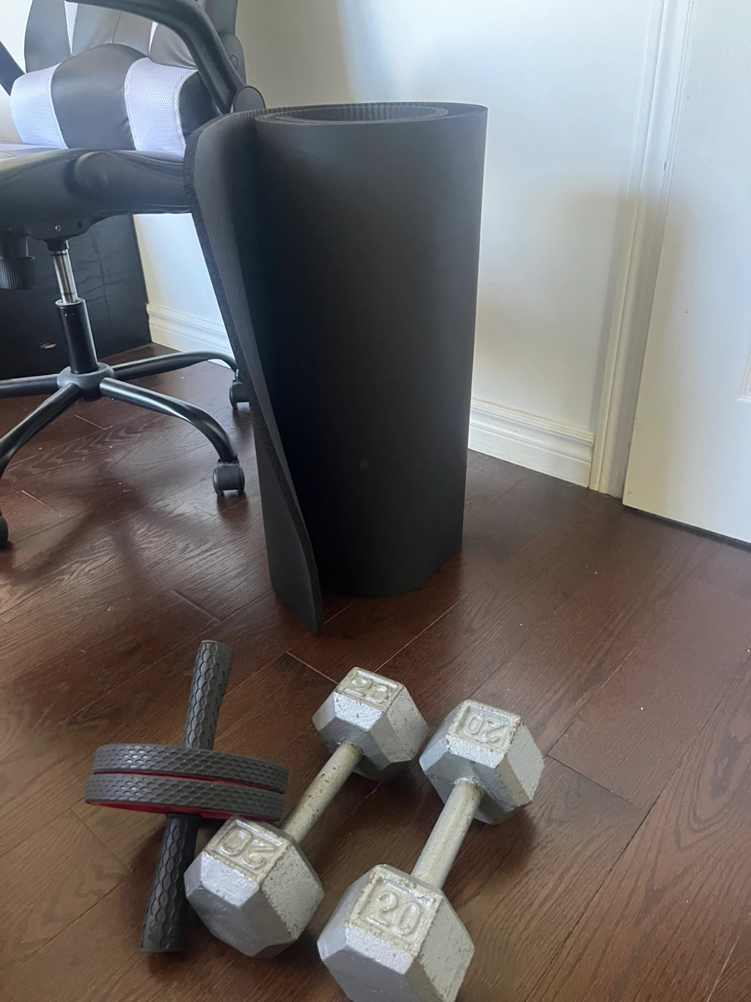 Ab Roller Wheel and 20lb Dumbbells