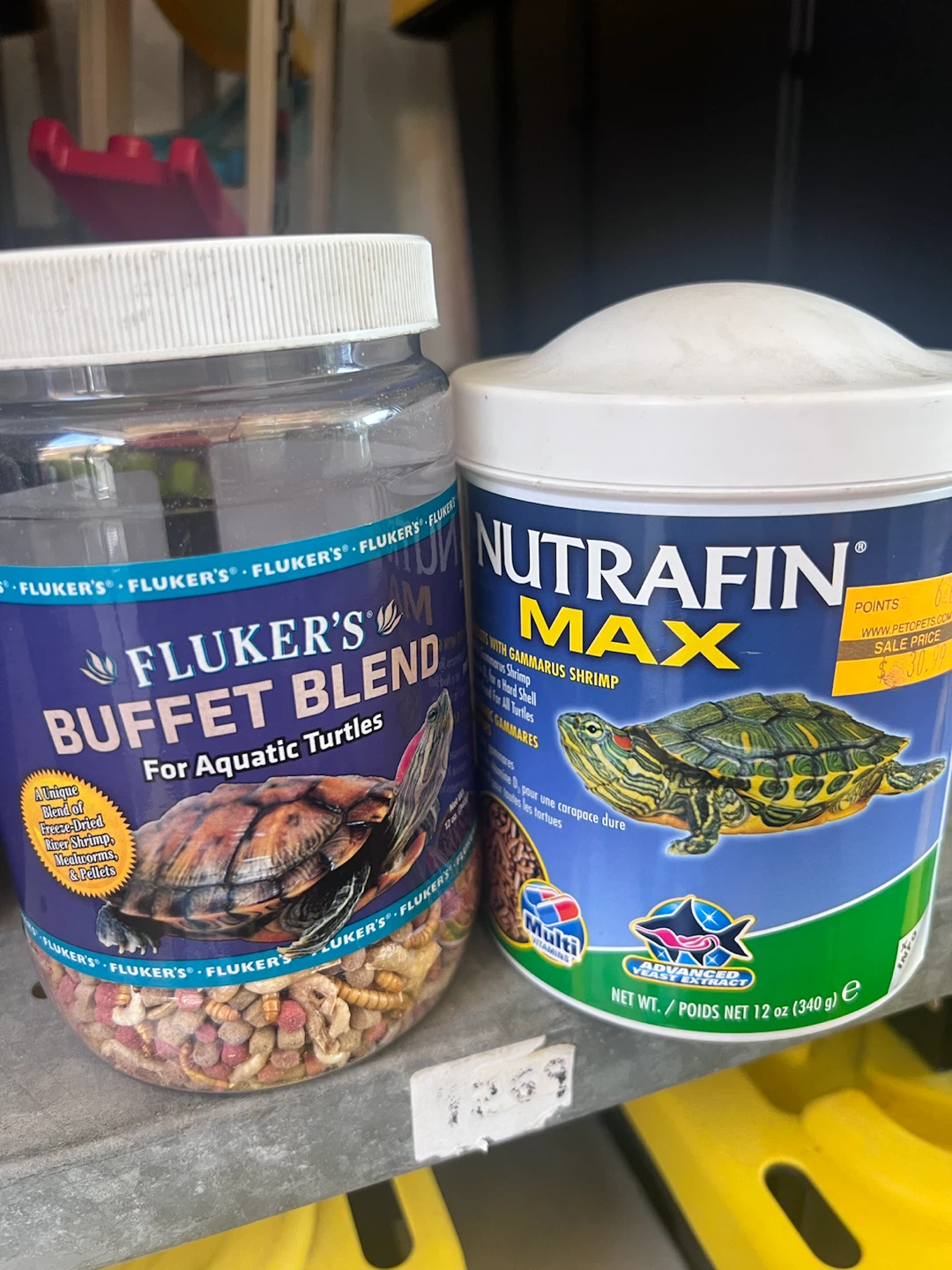 FREE Fluker's Buffet Blend Aquatic Turtle Food