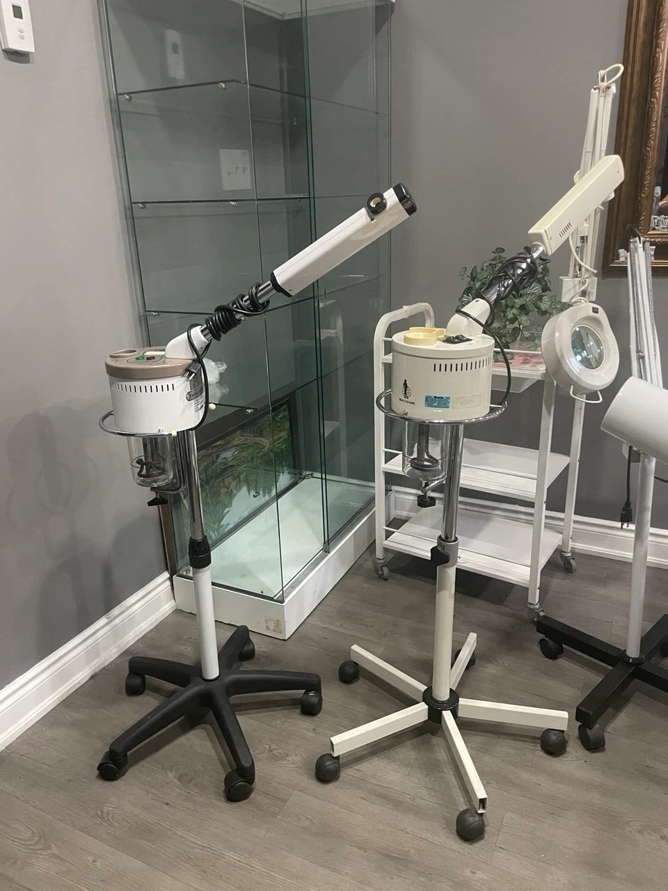 Facial Steamer Stand with Magnifying Lamp