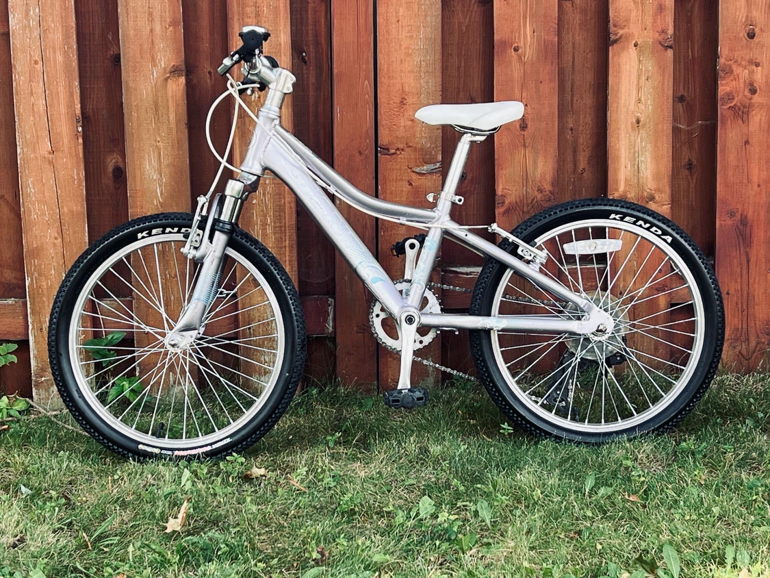 Giant Areva Kids’ Mountain Bike – 20” - photo 2