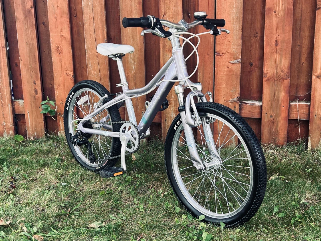 Giant Areva Kids’ Mountain Bike – 20” - photo 3