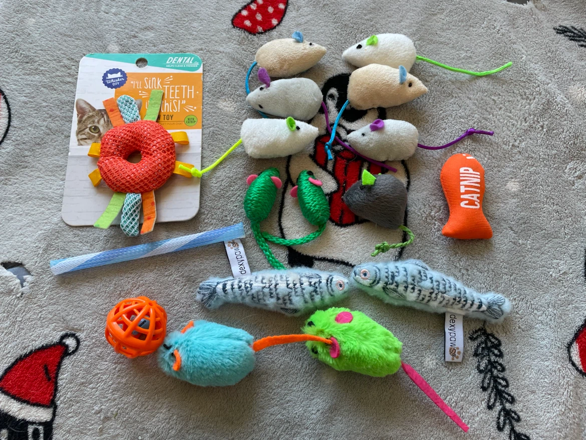 Cat/Kitten Toys Lot