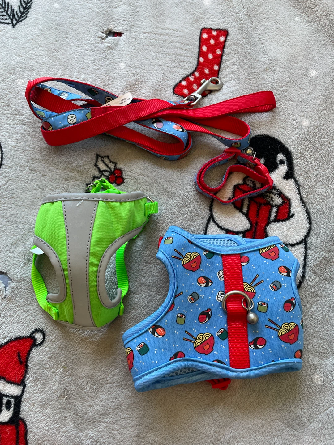 Kitten Harnesses, Collar & Leash Set