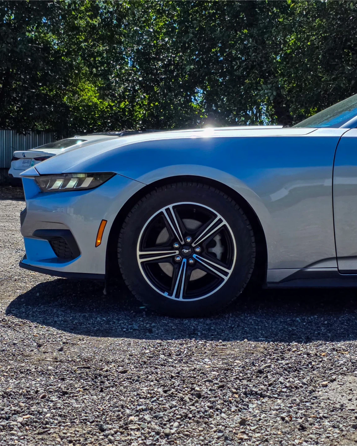 2025 FORD MUSTANG ECOBOOST — ONLY 27,000+ KM! - photo 4
