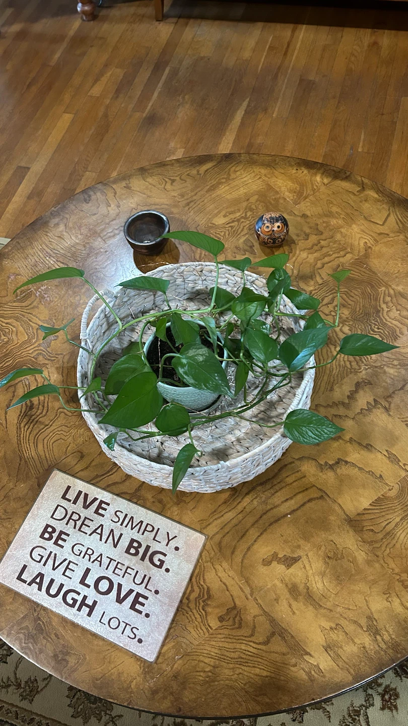 Round Wooden Coffee Table - photo 3