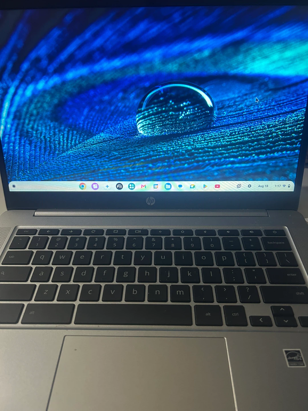 HP Chromebook Laptop