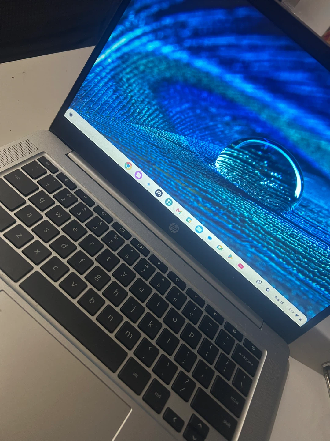 HP Chromebook Laptop - photo 2