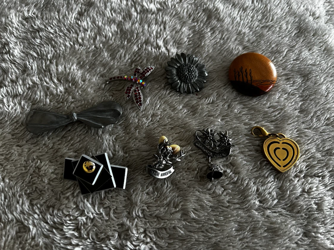 Assorted Brooches and Charms