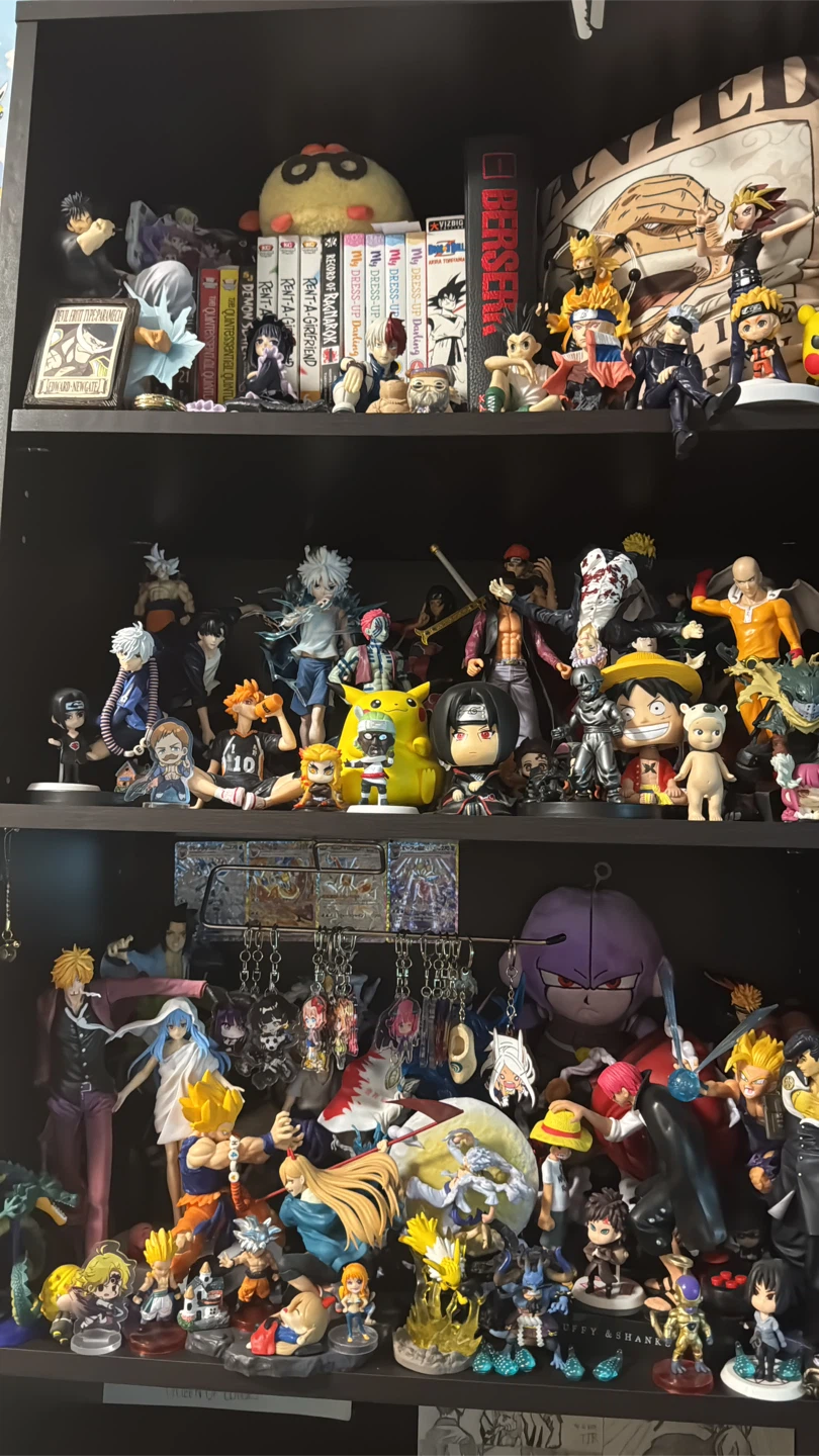 Anime Figure Collection