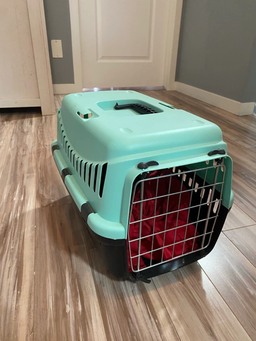 Pet Carrier