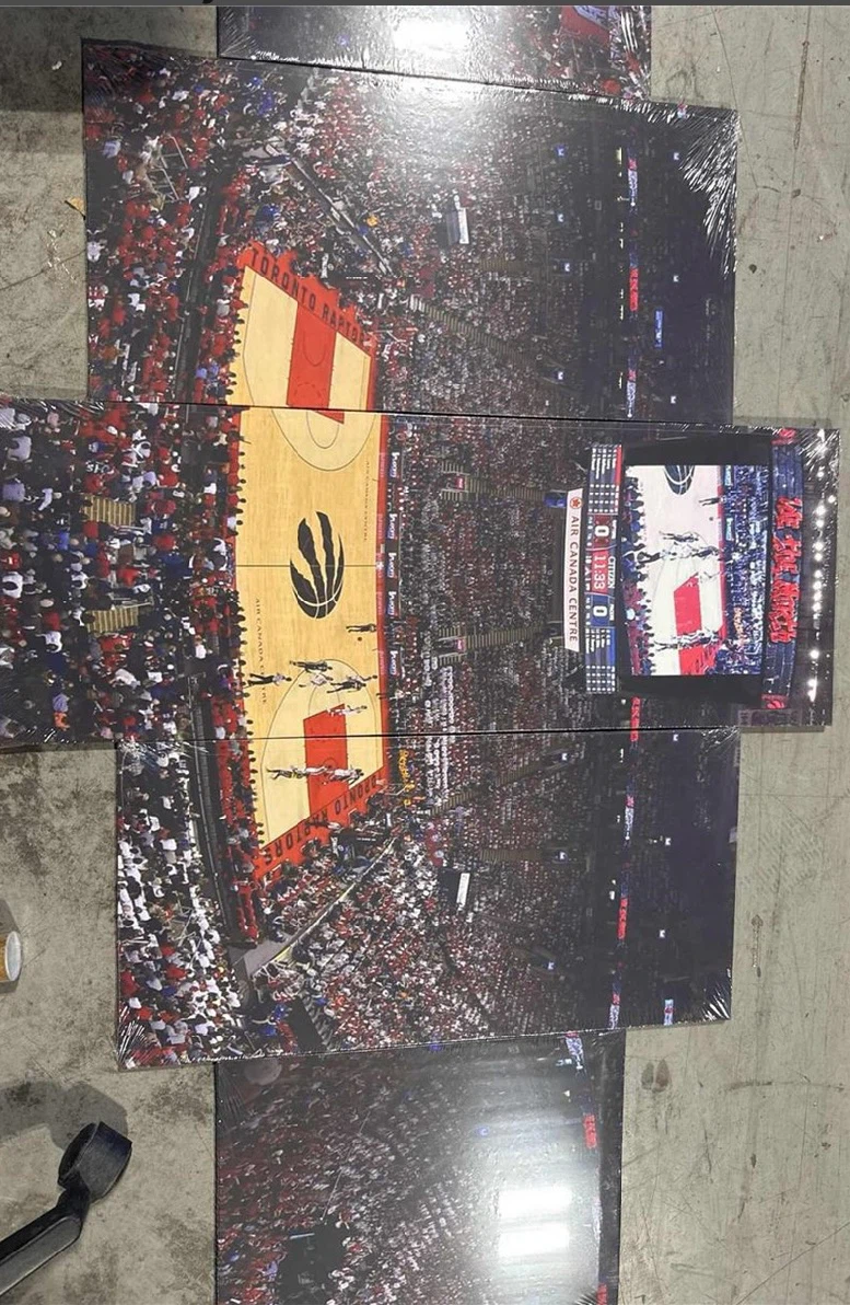 Toronto Raptors 5-Piece Wall Art - photo 3