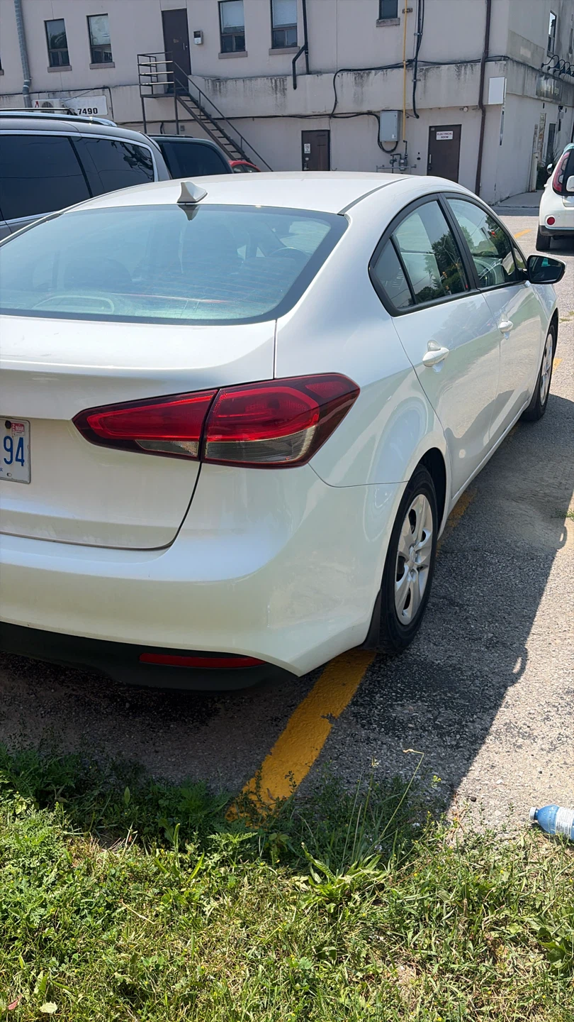 White Kia Forte - Sedan - photo 3