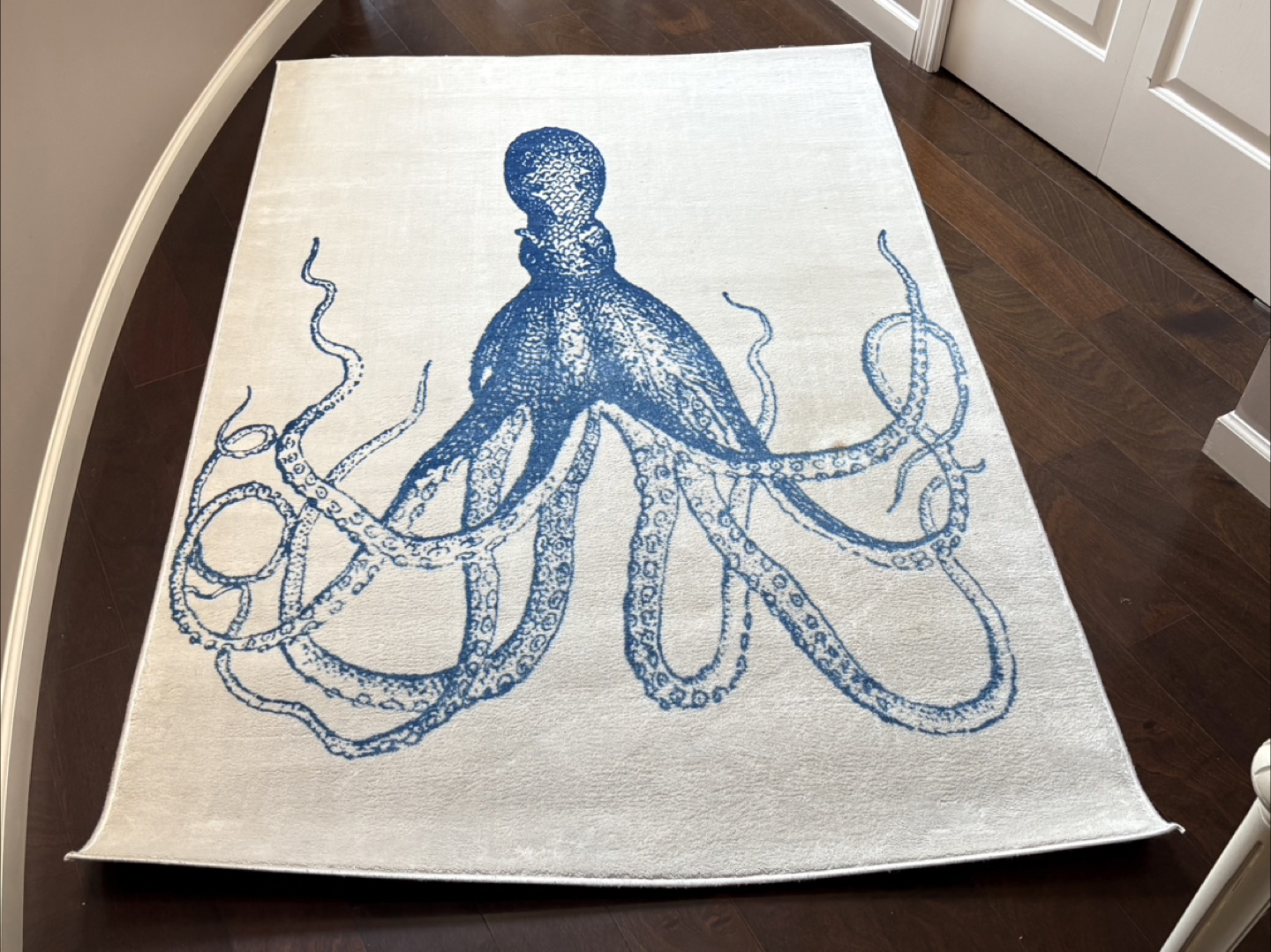 Octopus 🐙 Design Area Rug - Like New
