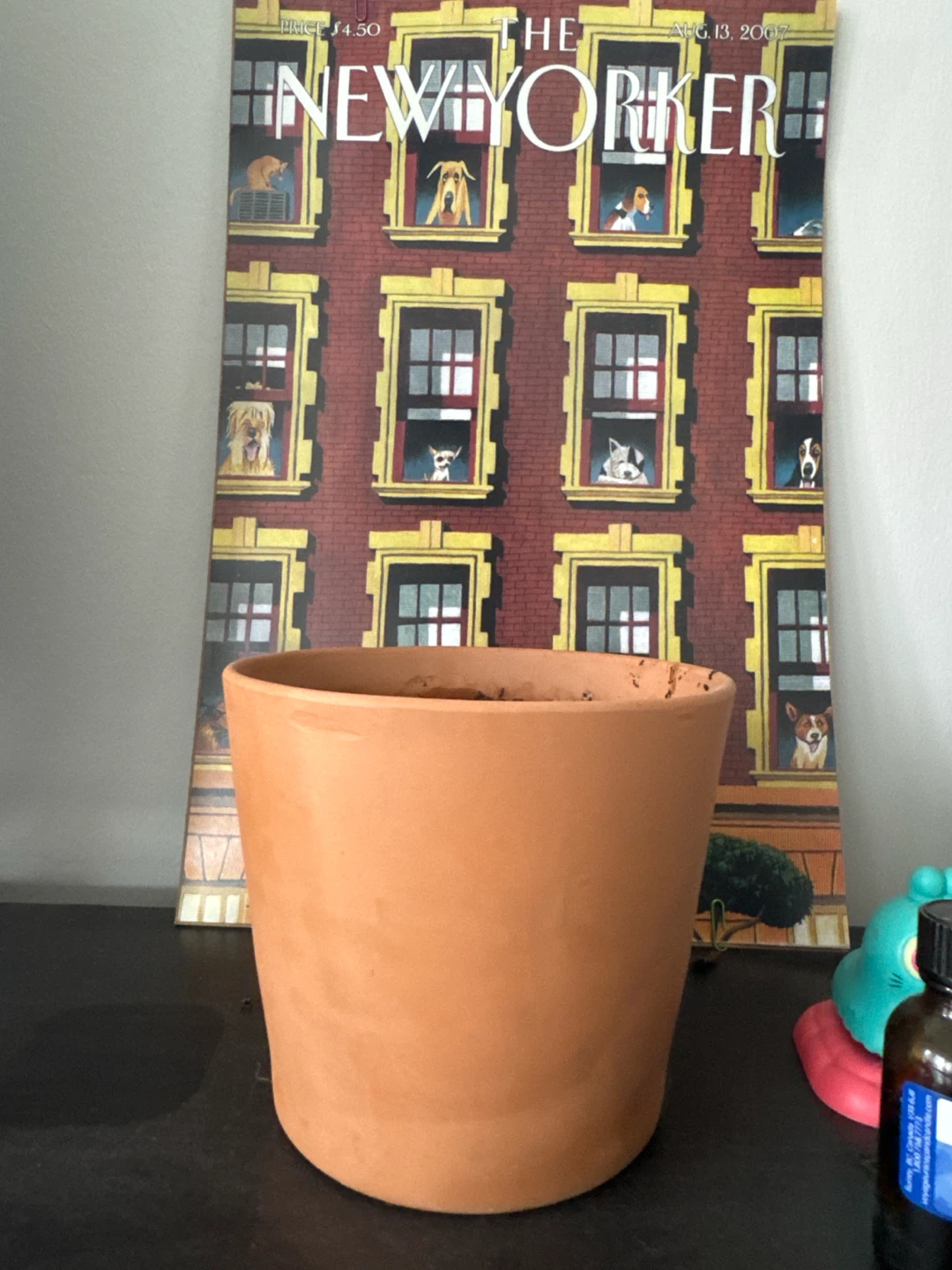 Terracotta Plant Pot