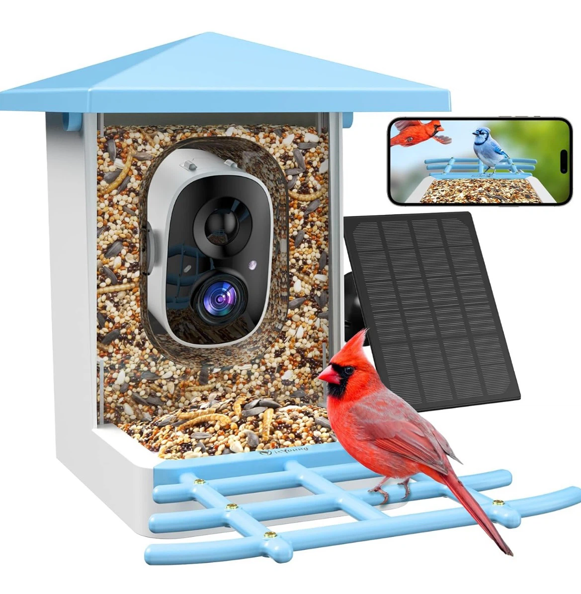 isYoung Bird Feeder Camera 1296P Smart Bird Feeder Cam - photo 4