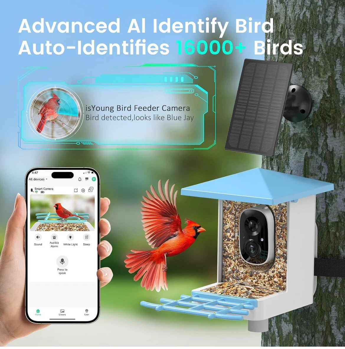 isYoung Bird Feeder Camera 1296P Smart Bird Feeder Cam - photo 5
