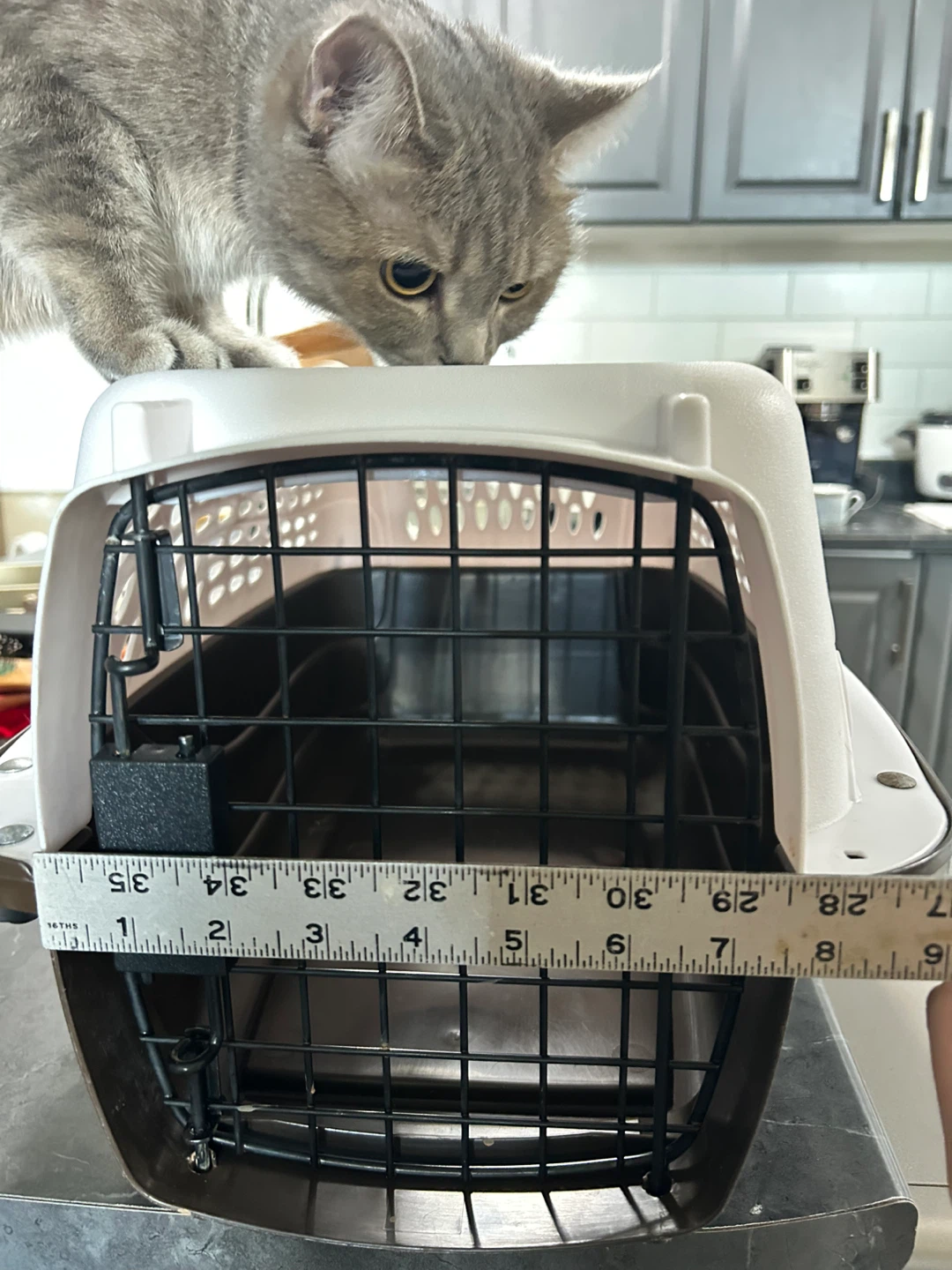 Pet Carrier - photo 4