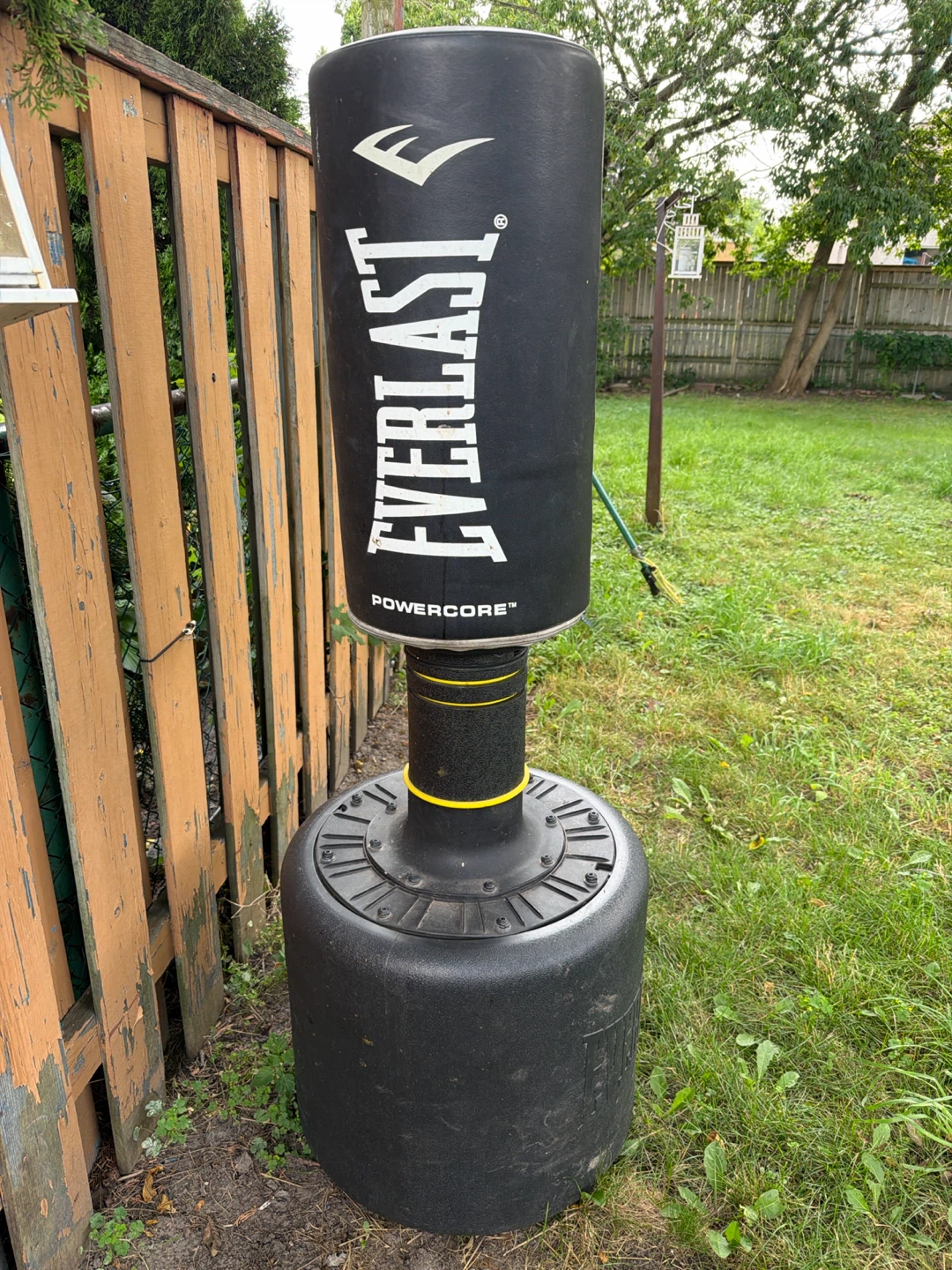 Everlast Powercore Freestanding Punching Bag