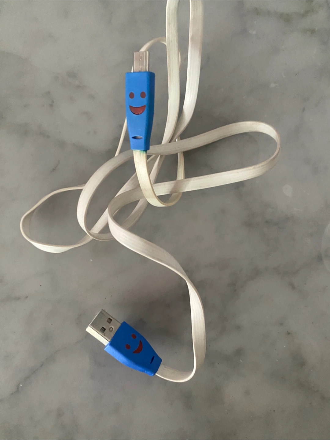 USB Charging Cable with Blue Smiley Face Connectors