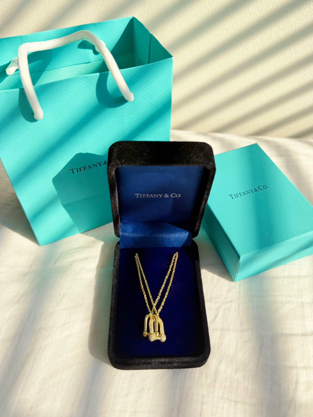 Tiffany & Co. HardWear Diamond Double Link Pendant Necklace