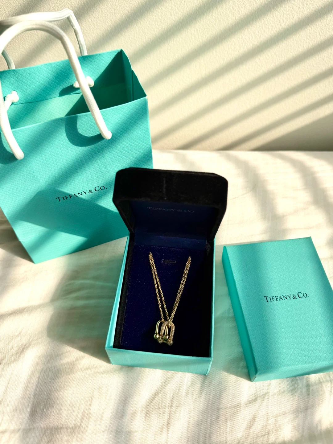 Tiffany & Co. HardWear Diamond Double Link Pendant Necklace - photo 3