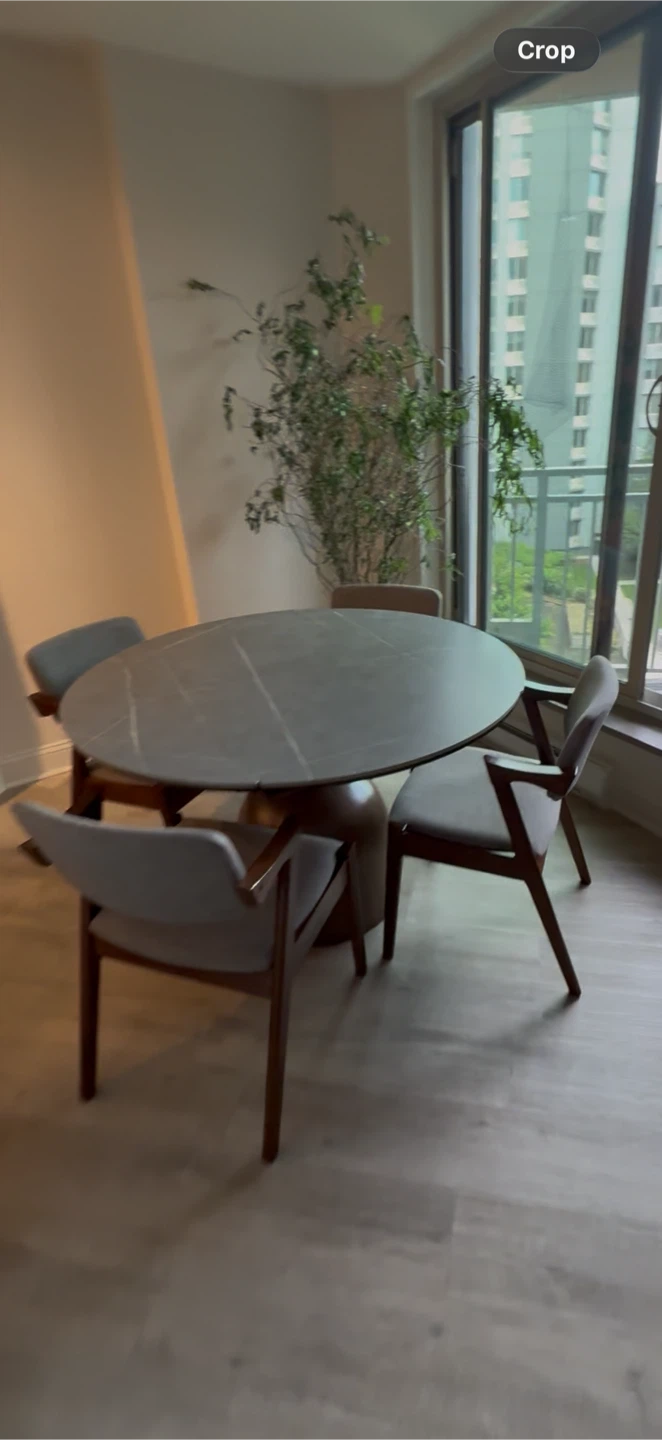 Set of 4 Dining Chairs. FREE EXTENDABLE DINING TABLE - photo 4