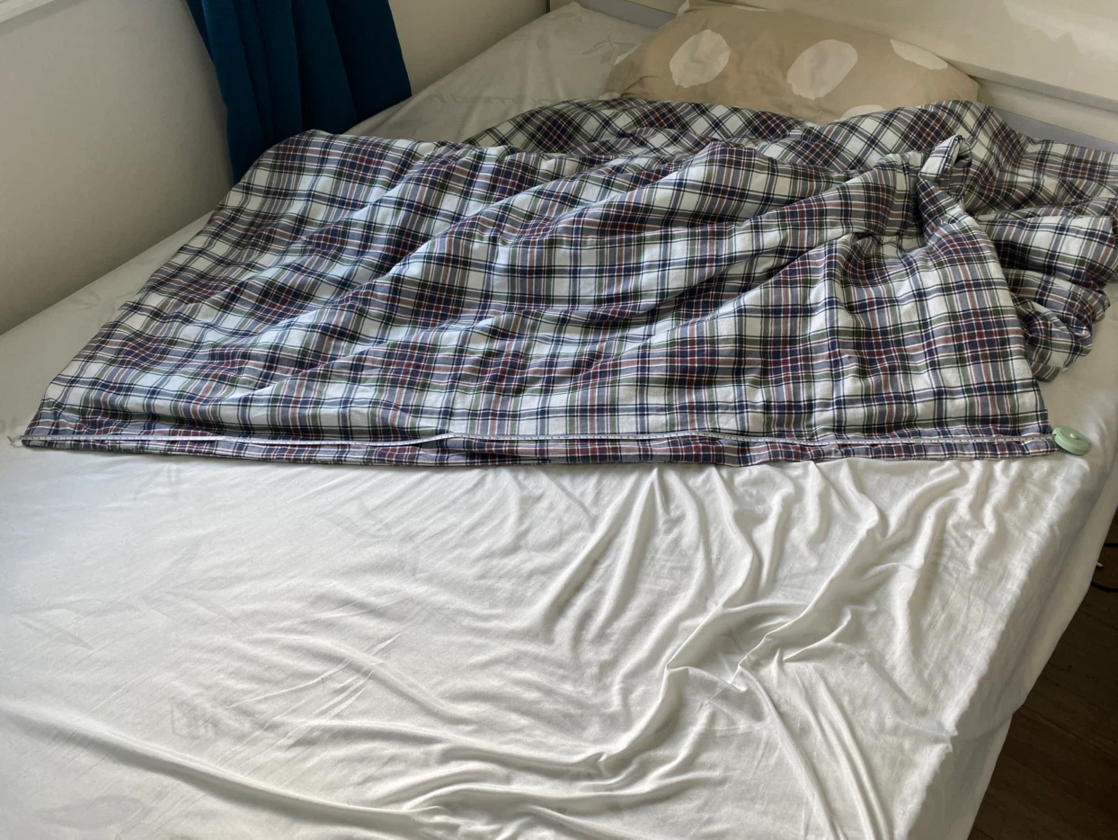 Quilt and Pillow - photo 3