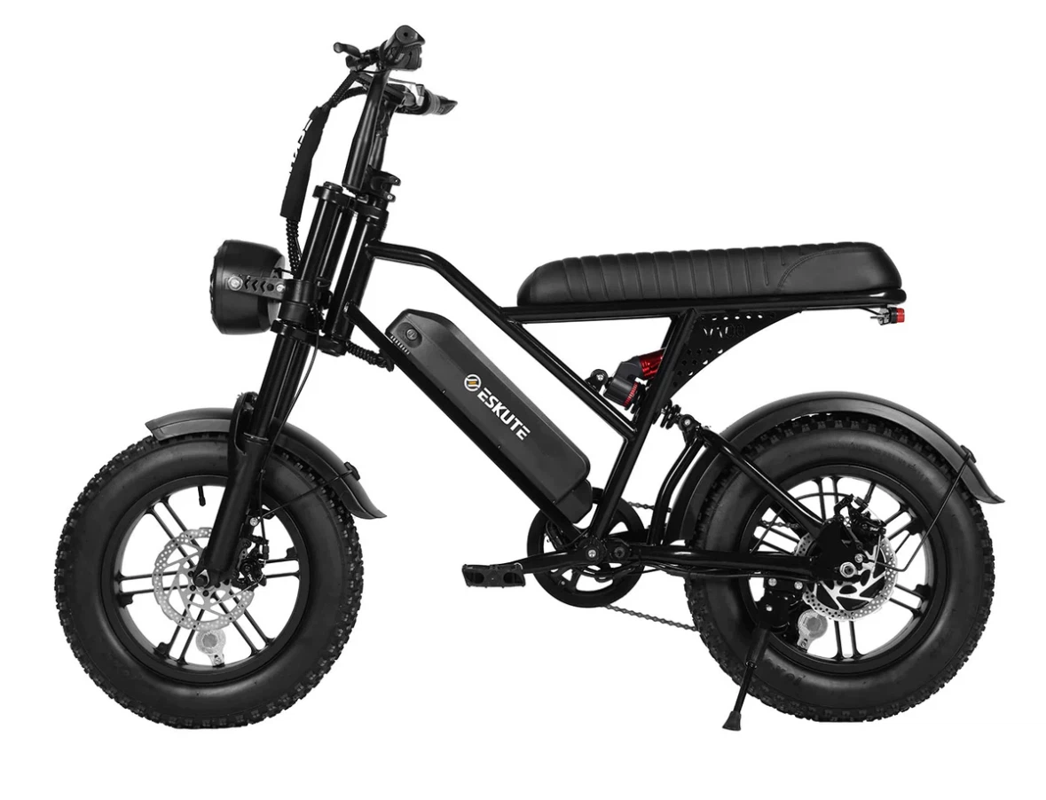 Eskute V100 Ebike - photo 2