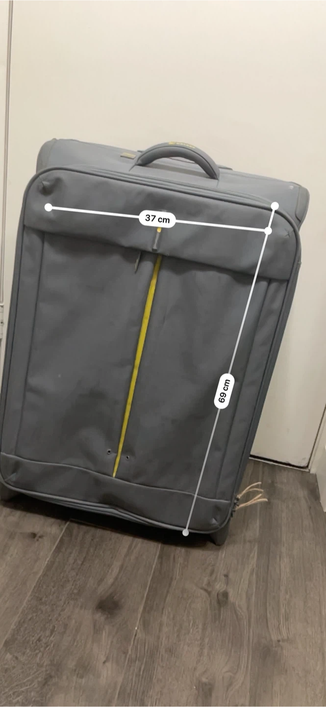 Delsey Grey Spinner Suitcase - 37cm x 69cm