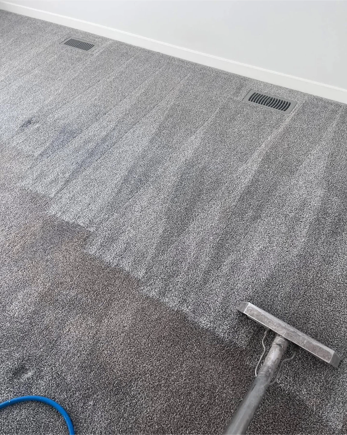 Carpet cleaning services