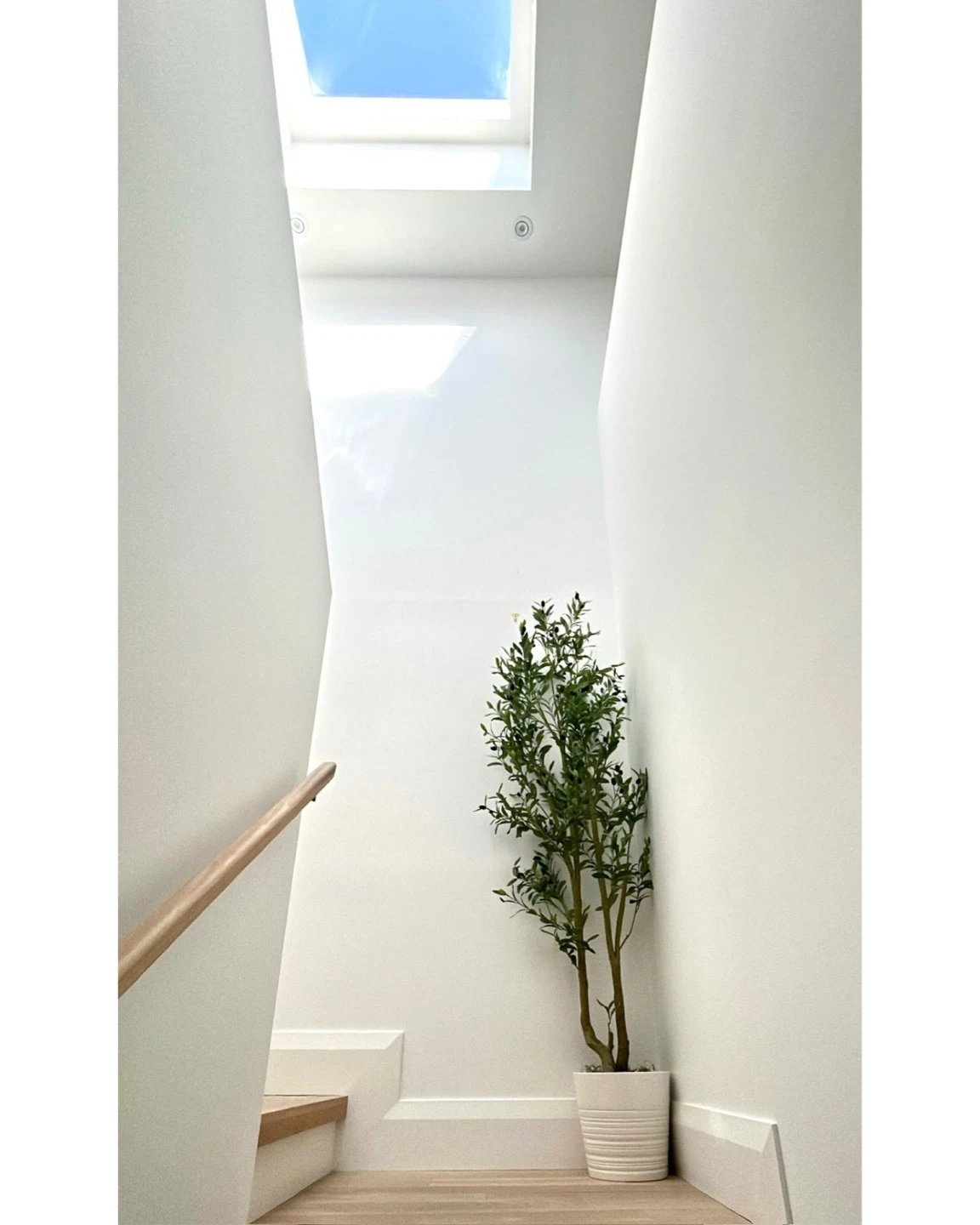 6ft Faux Olive Tree - photo 3