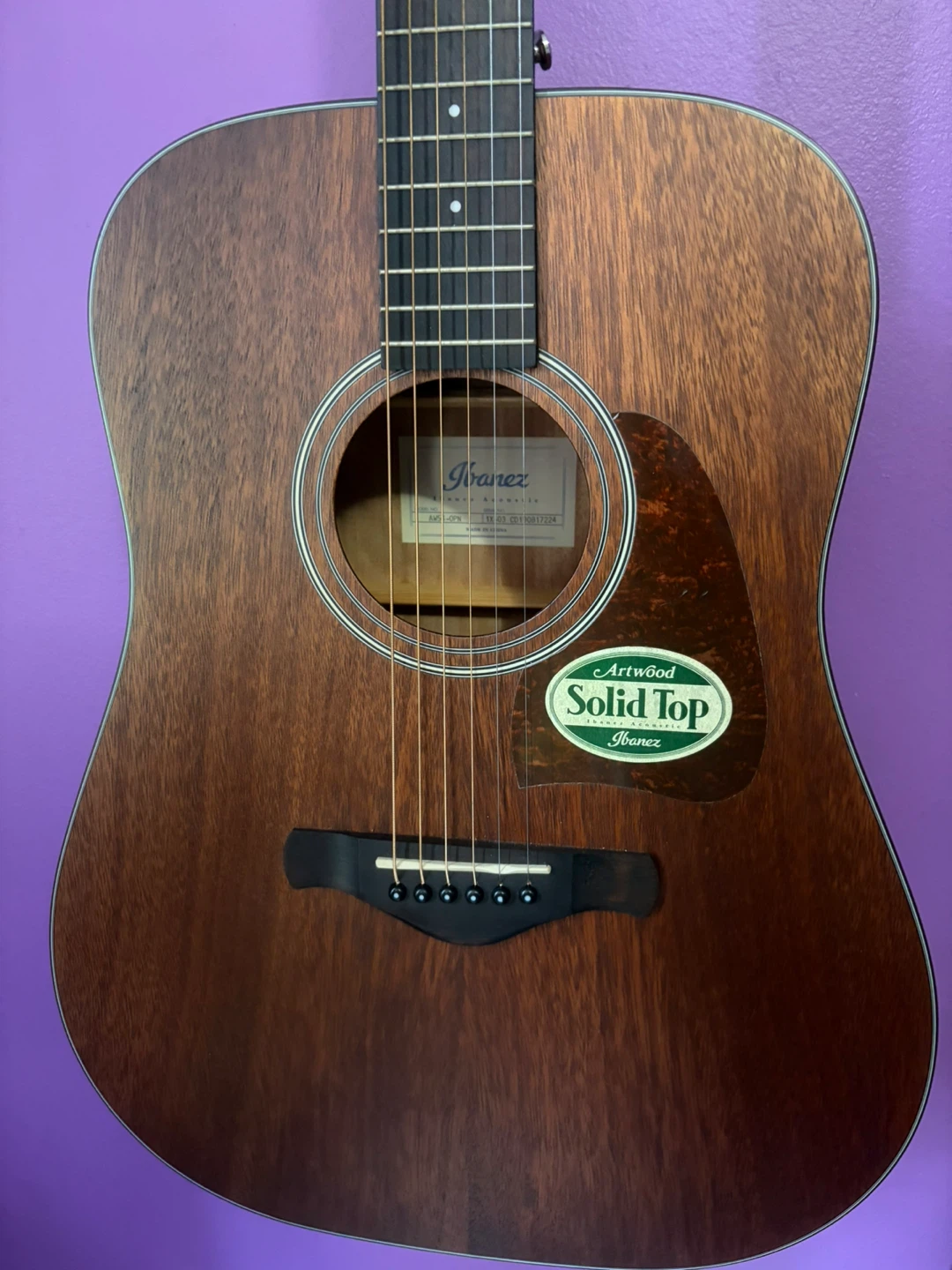 Ibanez AW54  Acoustic Guitar Mahogany Dreadnought