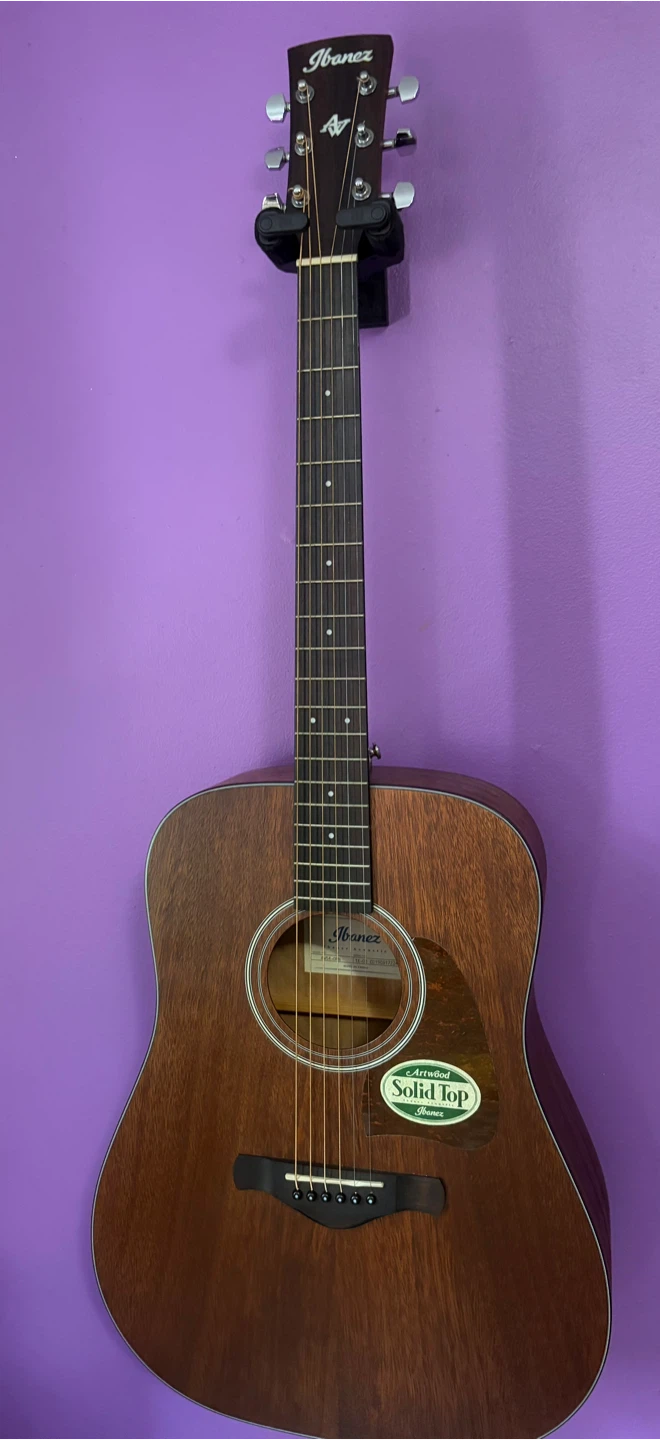 Ibanez AW54  Acoustic Guitar Mahogany Dreadnought - photo 2