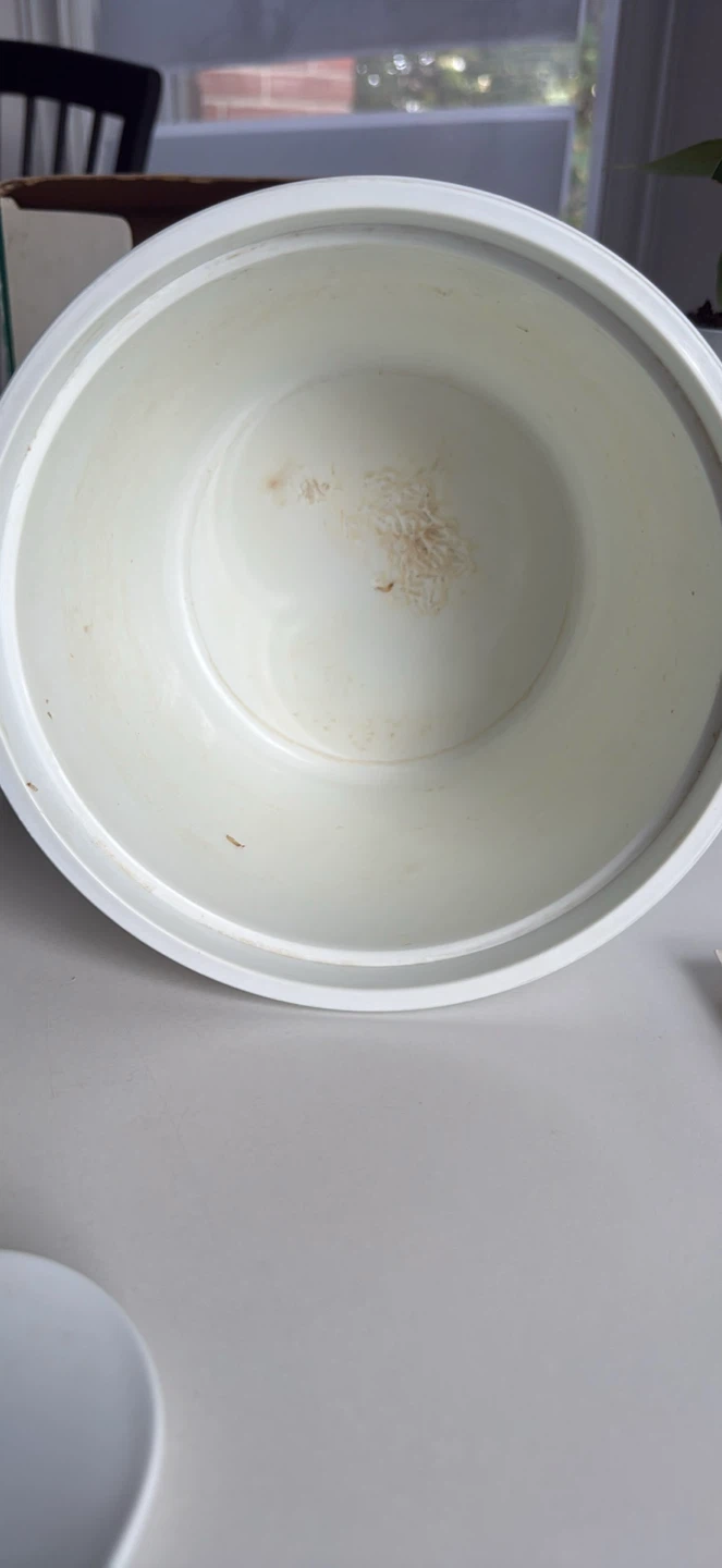 Progressive International Microwave Rice Cooker - photo 4