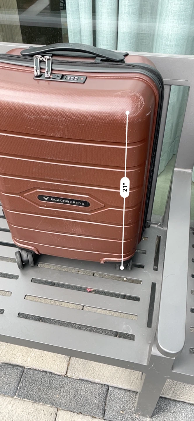 Blackberries 21" Hardside Spinner Suitcase - Brown