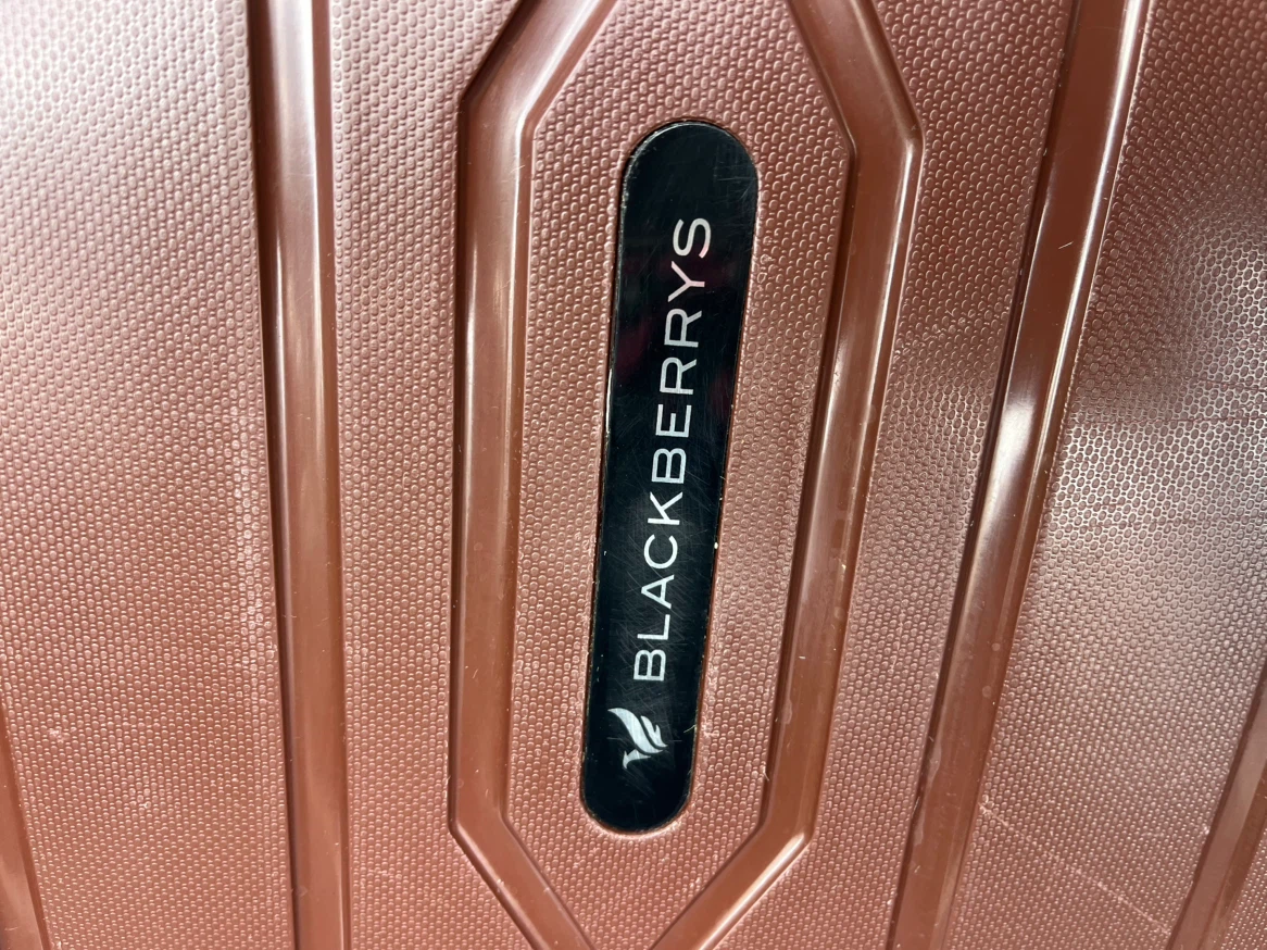 Blackberries 21" Hardside Spinner Suitcase - Brown - photo 2