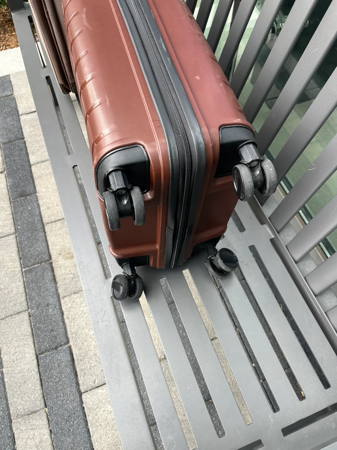 Blackberries 21" Hardside Spinner Suitcase - Brown - photo 3