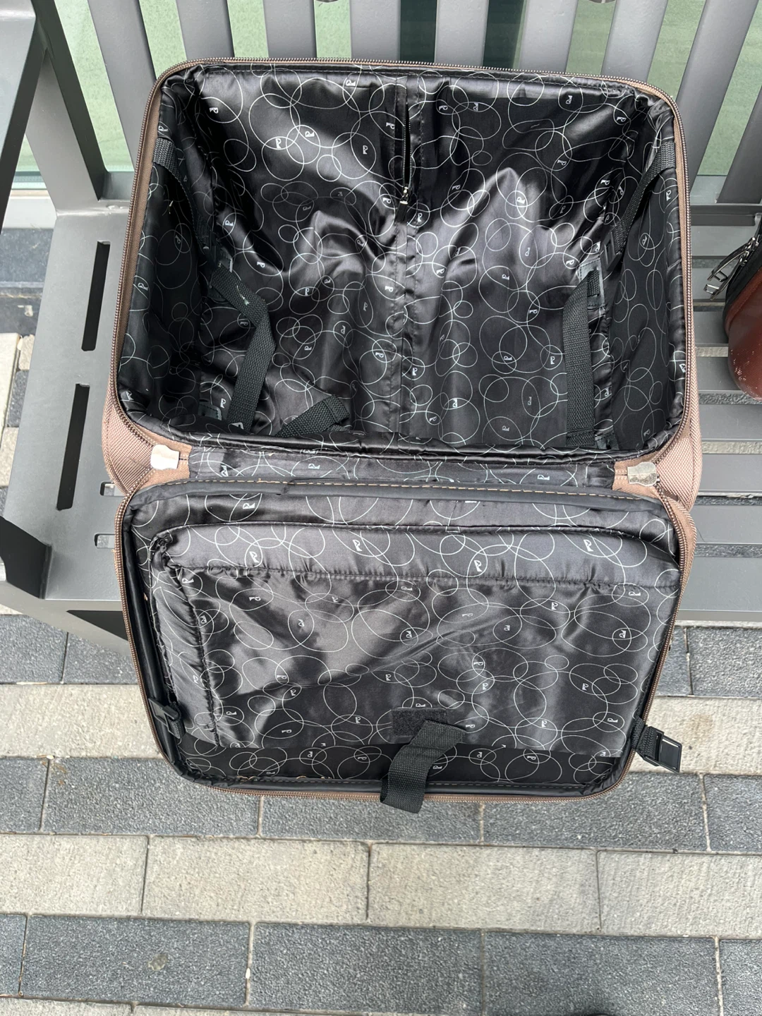 Blackberries 21" Hardside Spinner Suitcase - Brown - photo 4