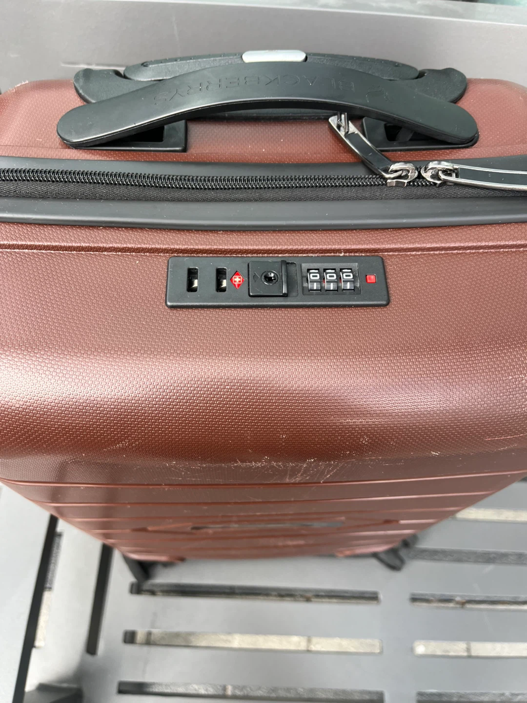 Blackberries 21" Hardside Spinner Suitcase - Brown - photo 5