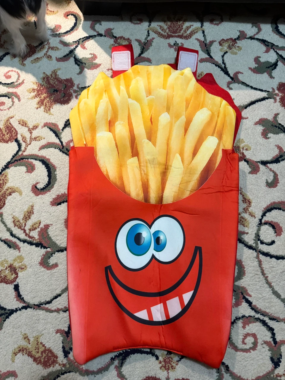 Funny Food Themed Costume and others - photo 4