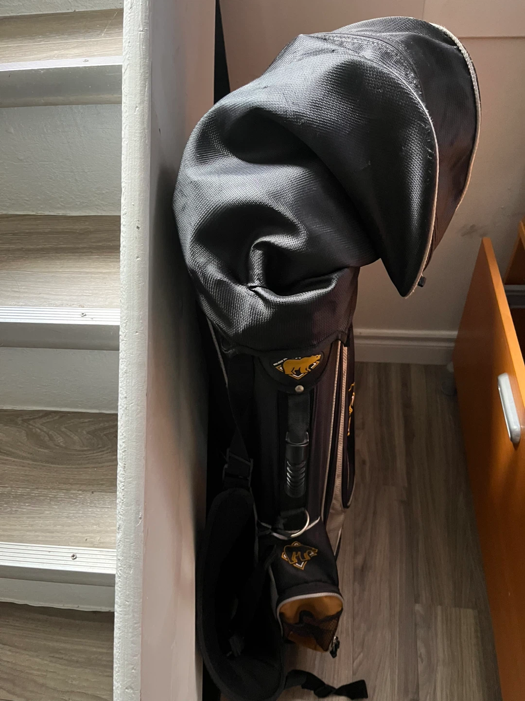 Old golf clubs and bag - photo 2