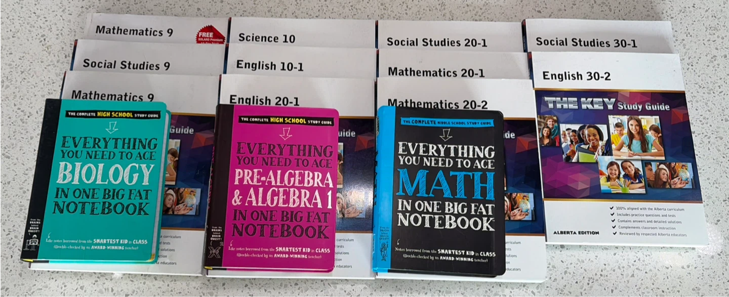 Castle Rock and Big Fat Notebook Study Guides - photo 2