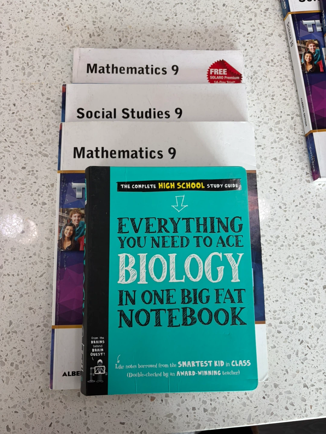 Castle Rock and Big Fat Notebook Study Guides - photo 4