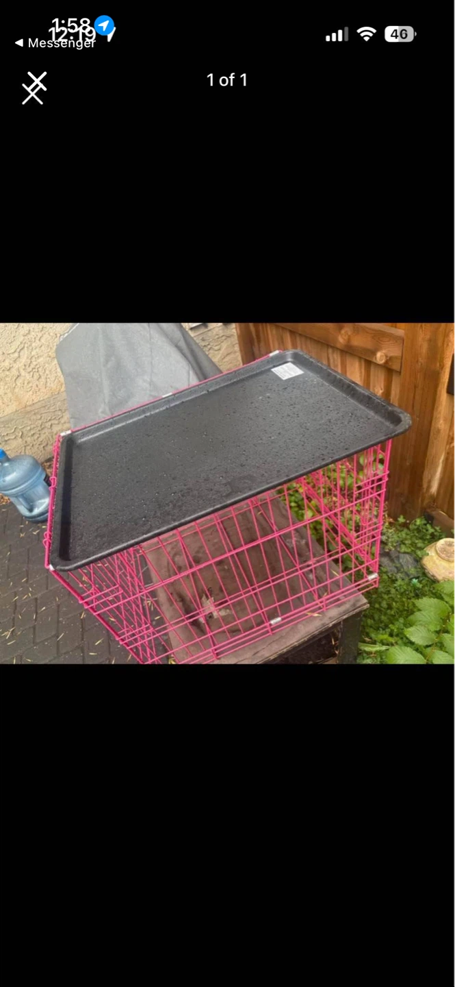 Pink Wire Pet Crate with Tray